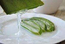 สมุนไพรเบาหวาน ของไทยช่วยลดน้ำตาลในเลือดบรรเทาอาการโรคเบาหวาน สมุนไพรเบาหวาน