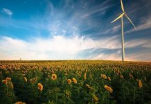 พลังงานลมคืออะไร หากติดตั้งในบ้านเรามีข้อดีข้อจำกัดอย่างไรบ้าง พลังงานลม