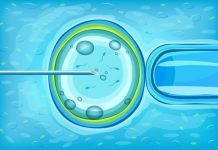 IUI คืออะไร และเหมาะกับผู้มีปัญหาทางตั้งครรภ์แบบไหน? IUI คืออะไร?