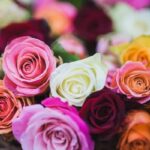 ความหมายของดอกไม้ในวัฒนธรรมตะวันตก