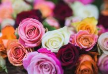 ดอกไม้แต่ละชนิดสื่อความหมายอะไรในวัฒนธรรมตะวันตก? ความหมายของดอกไม้ในวัฒนธรรมตะวันตก