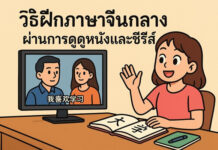 วิธีฝึกภาษาจีนกลาง ผ่านการดูหนังและซีรีส์ (Series) พร้อมเทคนิคเข้าใจเร็ว วิธีฝึกภาษาจีนกลาง ผ่านการดูหนังและซีรีส์ (Series)