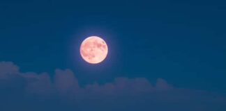 พระจันทร์สีชมพูคืออะไร ทำไมความหมายของมันจึงงดงามในบทกวี พระจันทร์สีชมพูคืออะไร ทำไมความหมายของมันจึงงดงามในบทกวี