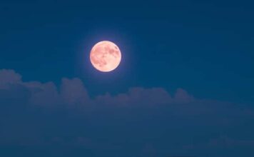 พระจันทร์สีชมพูคืออะไร ทำไมความหมายของมันจึงงดงามในบทกวี พระจันทร์สีชมพูคืออะไร ทำไมความหมายของมันจึงงดงามในบทกวี