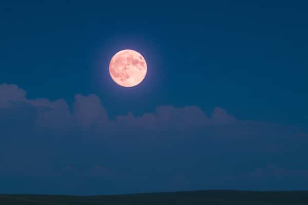 พระจันทร์สีชมพูคืออะไร ทำไมความหมายของมันจึงงดงามในบทกวี