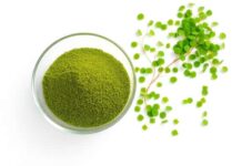 ผงไข่ผำคืออะไร ต่างจากไข่ผำสดยังไง เลือกแบบไหนให้เหมาะกับการกิน ผงไข่ผำคืออะไร ต่างจากไข่ผำสดยังไง เลือกแบบไหนให้เหมาะกับการกิน