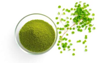 ผงไข่ผำคืออะไร ต่างจากไข่ผำสดยังไง เลือกแบบไหนให้เหมาะกับการกิน ผงไข่ผำคืออะไร ต่างจากไข่ผำสดยังไง เลือกแบบไหนให้เหมาะกับการกิน