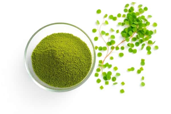 ผงไข่ผำคืออะไร ต่างจากไข่ผำสดยังไง เลือกแบบไหนให้เหมาะกับการกิน