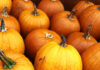 ฮาโลวีน: เทศกาลแห่งความมืดและวิญญาณจากรากฐาน Samhain ฮาโลวีน: เทศกาลแห่งความมืดและวิญญาณจากรากฐาน Samhain